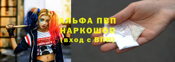 ГАЛЛЮЦИНОГЕННЫЕ ГРИБЫ Пересвет
