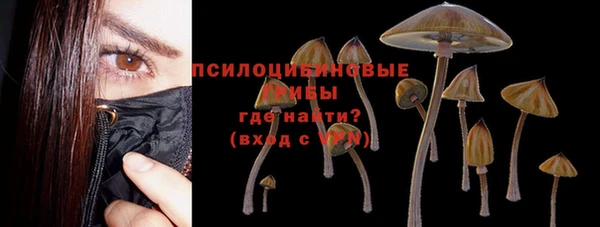 прущий лед Осинники