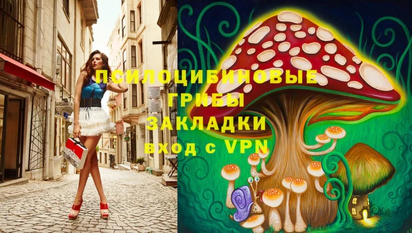 ALPHA-PVP Каменногорск