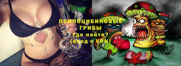 ГАЛЛЮЦИНОГЕННЫЕ ГРИБЫ Пересвет