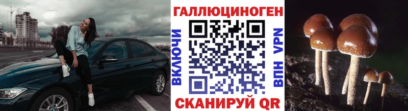 Галлюциногенные грибы прущие грибы  Фрязино 